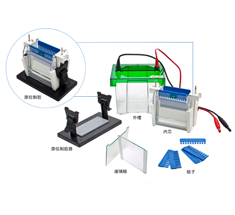 JY-SCZ2+/JY-SCZ4+型垂直电泳槽