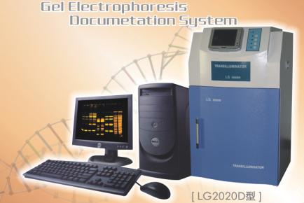 LG2020Dϵͳ