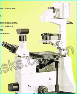 IBE1000倒置荧光显微镜