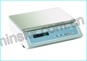 进口意大利BEL KL15000/20000/32000工业天平