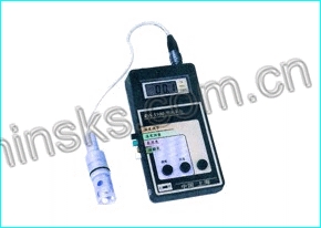 RSS-5100测氧仪